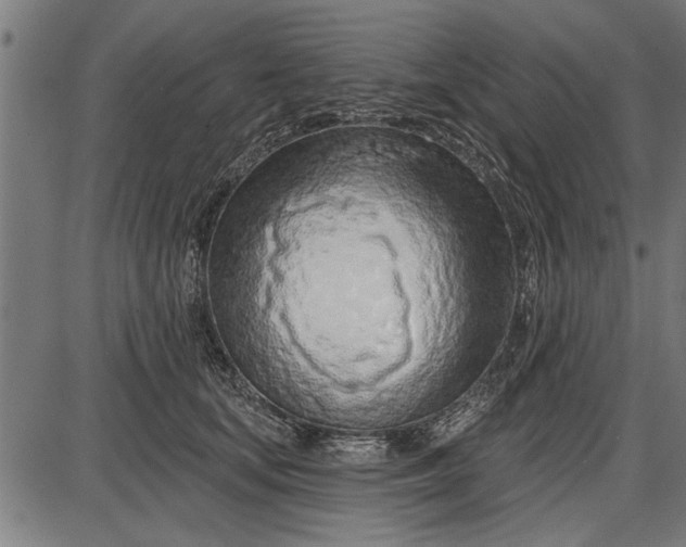 X0000086100659200704091353
