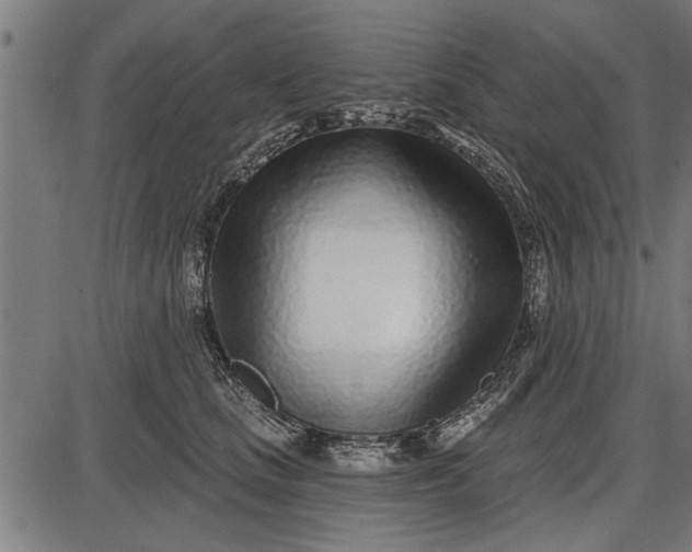 X0000086100661200704091354