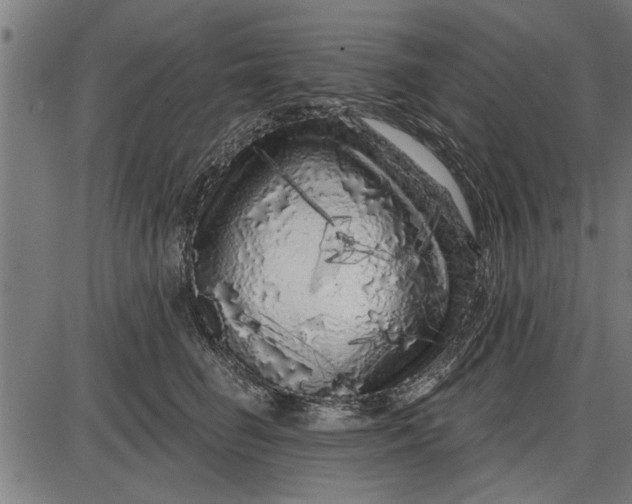 X0000086100662200704091354