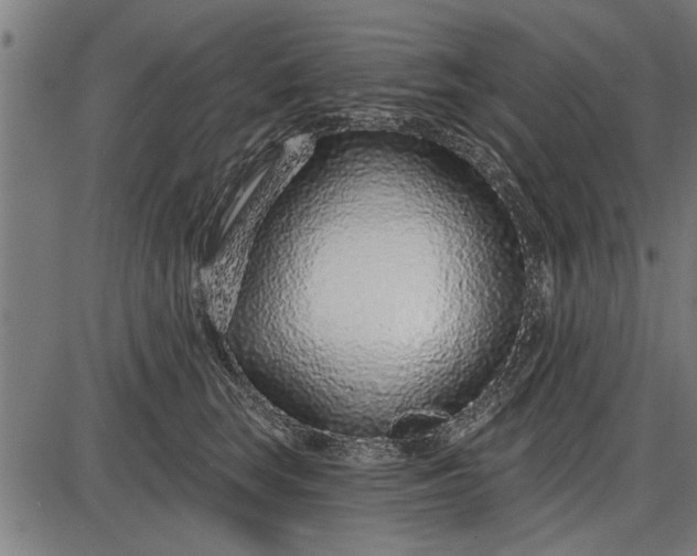 X0000086100663200704091354