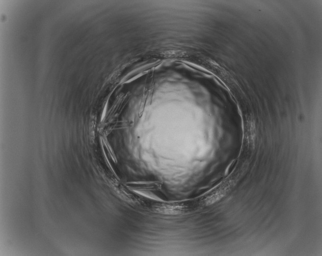 X0000086100664200704091354
