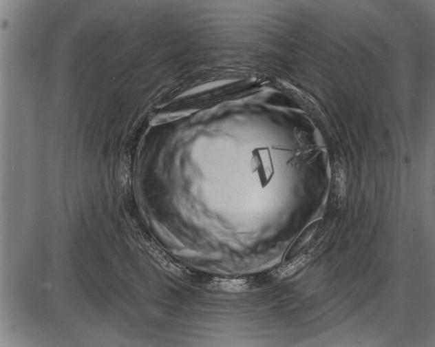 X0000086100665200704091354