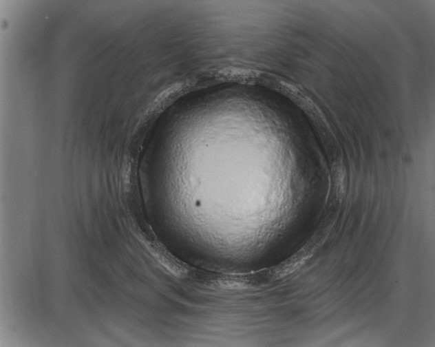 X0000086100668200704091354