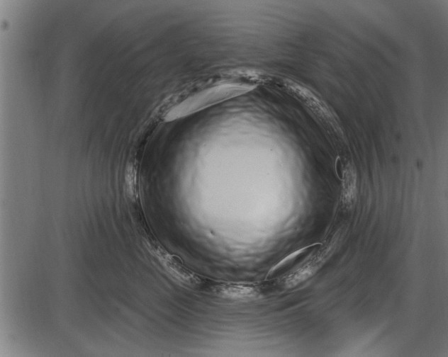 X0000086100669200704091354