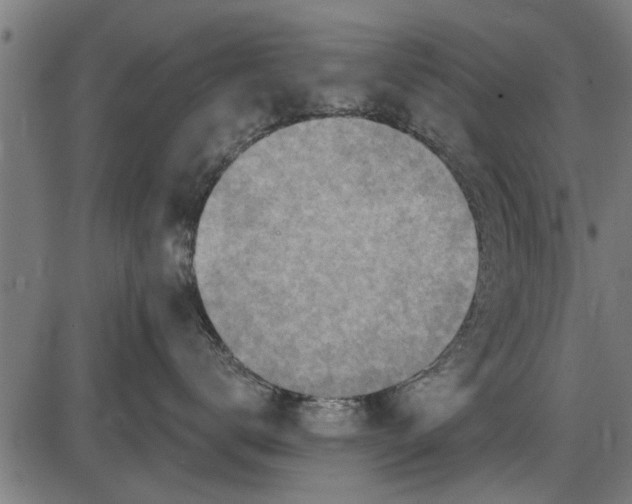 X0000086100672200704091354