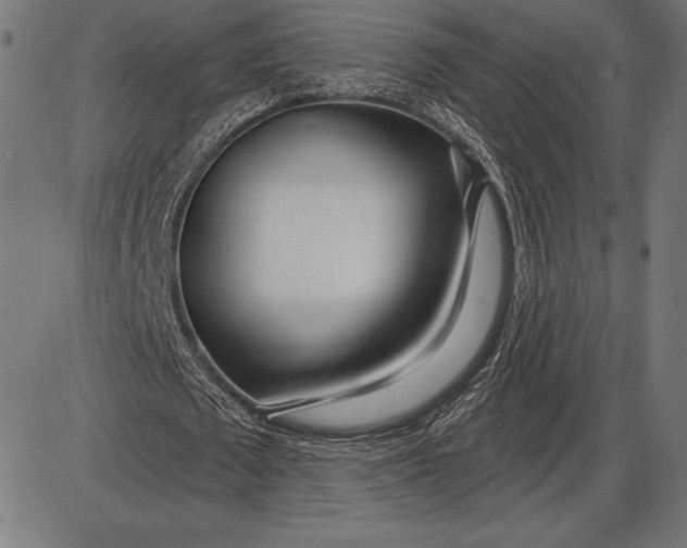 X0000086100673200704091353