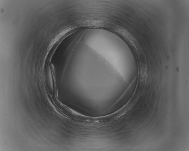 X0000086100674200704091353