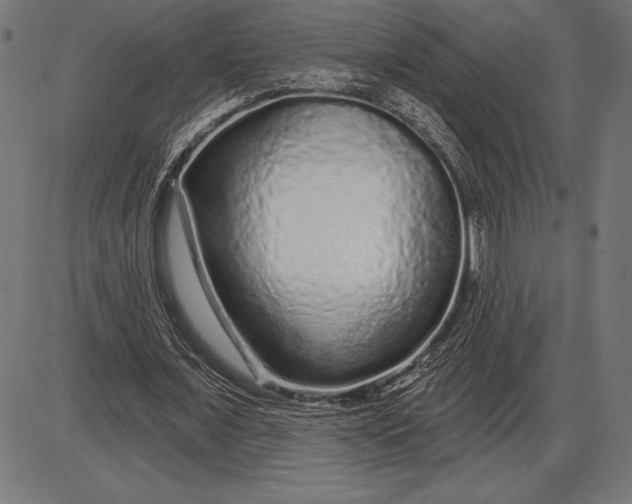 X0000086100675200704091353