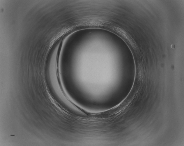 X0000086100677200704091353