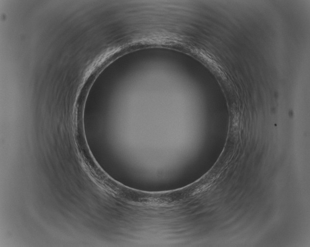 X0000086100678200704091353