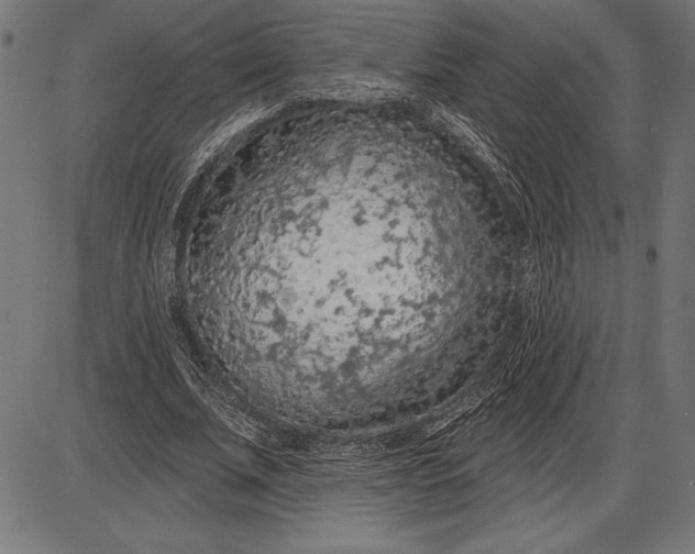 X0000086100679200704091353