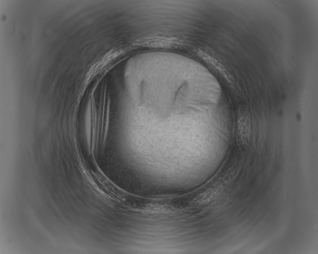 X0000086100682200704091353