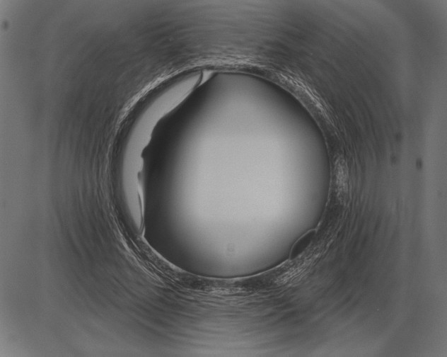 X0000086100684200704091353