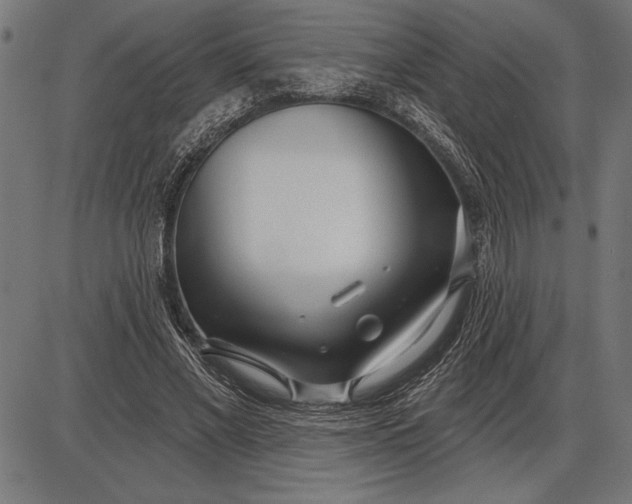 X0000086100685200704091353
