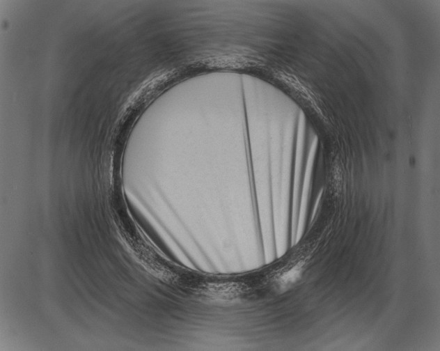 X0000086100686200704091353