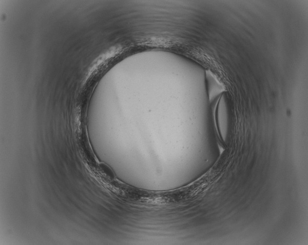 X0000086100688200704091353
