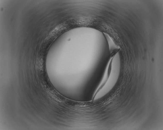 X0000086100689200704091353
