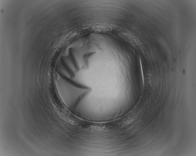 X0000086100690200704091353
