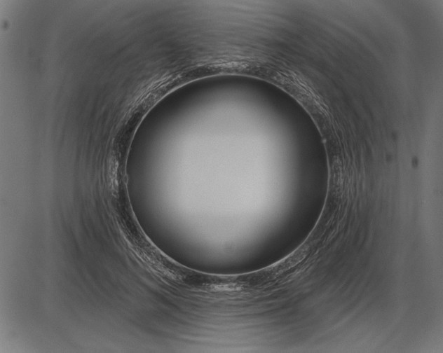 X0000086100692200704091353
