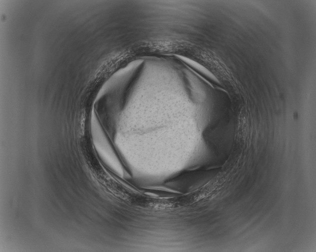 X0000086100694200704091353