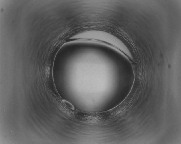 X0000086100697200704091353