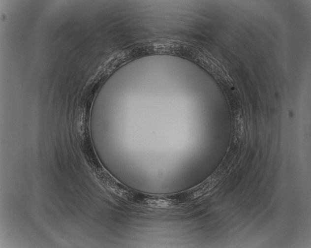 X0000086100698200704091352