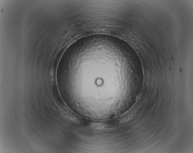 X0000086100699200704091352