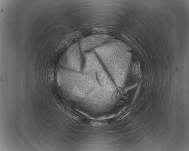 X0000086100706200704091352