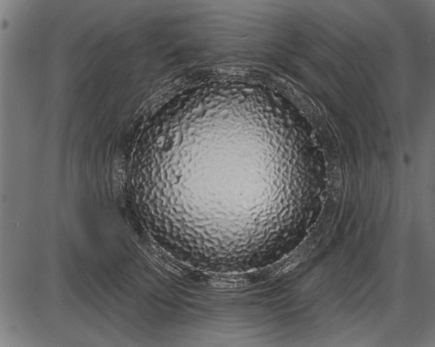 X0000086100707200704091352