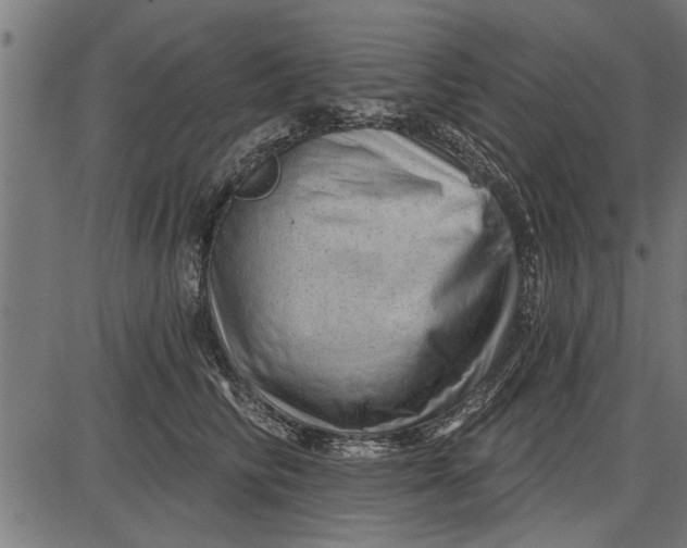 X0000086100710200704091352