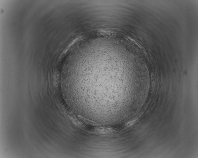 X0000086100712200704091352