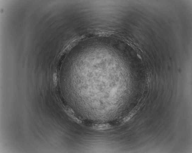 X0000086100716200704091352