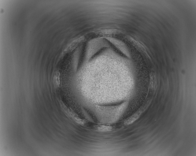 X0000086100718200704091352