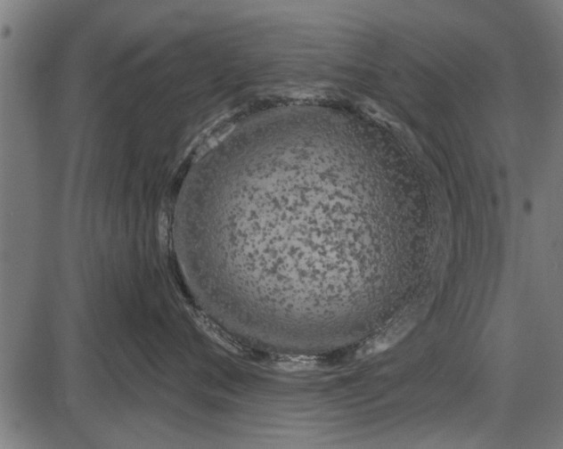 X0000086100720200704091352
