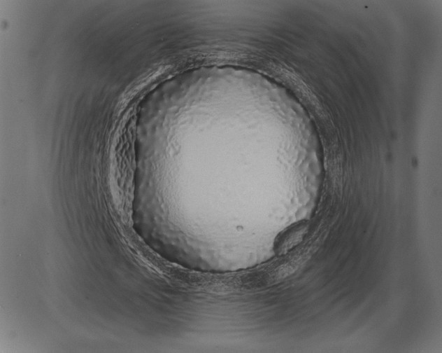 X0000086100721200704091351