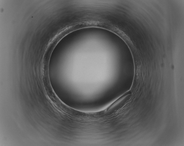 X0000086100722200704091351