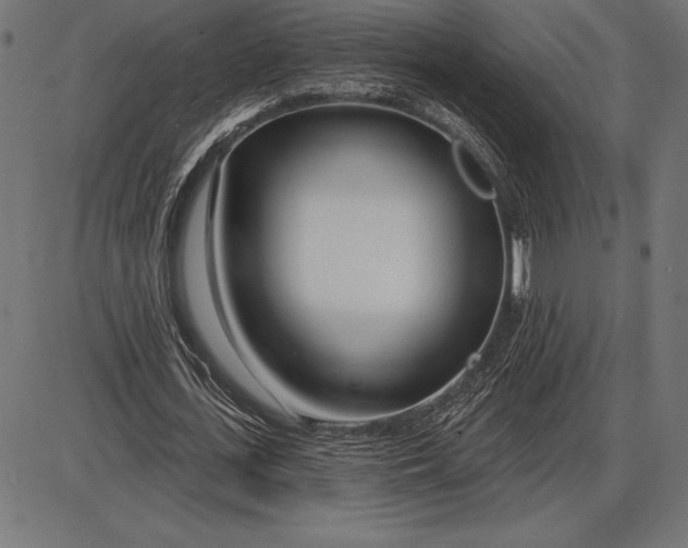 X0000086100723200704091351