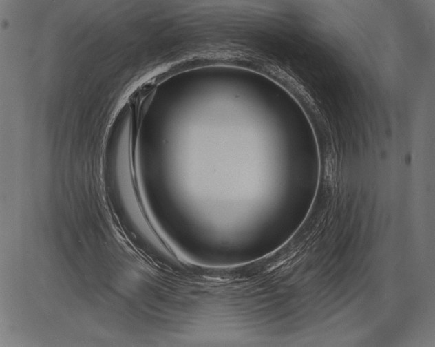 X0000086100724200704091351