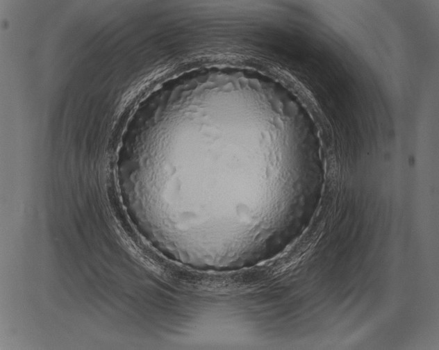 X0000086100725200704091351