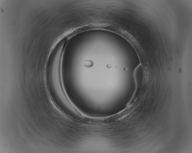 X0000086100726200704091351