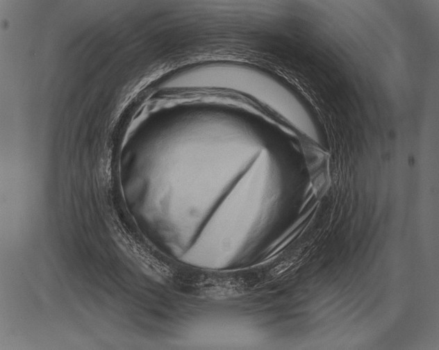 X0000086100727200704091351