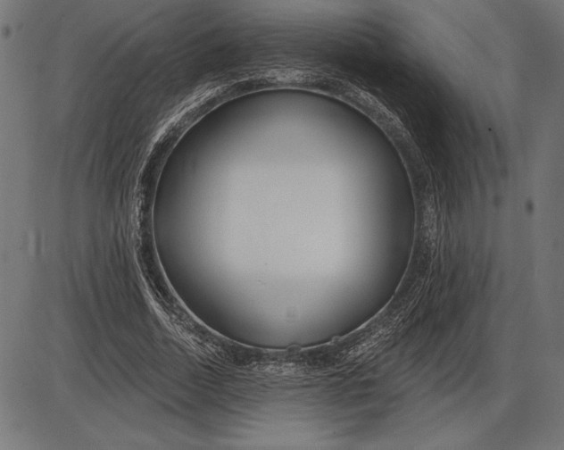 X0000086100730200704091351