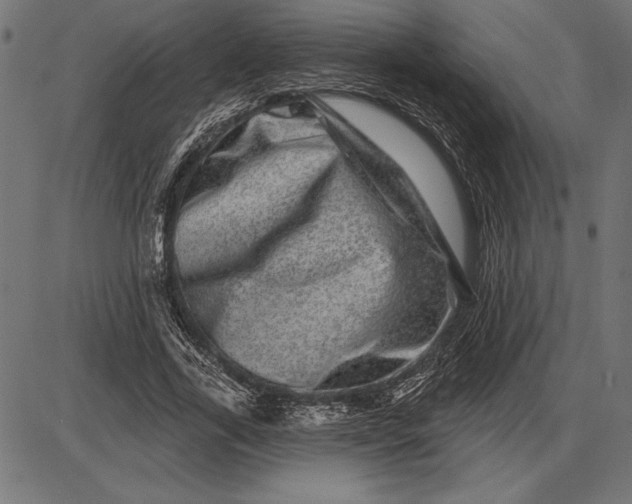 X0000086100731200704091351
