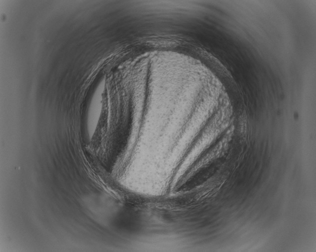 X0000086100733200704091352
