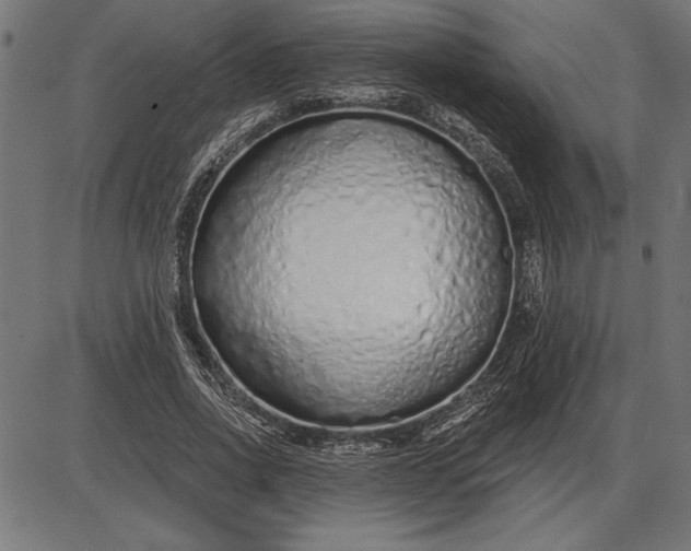X0000086100734200704091352