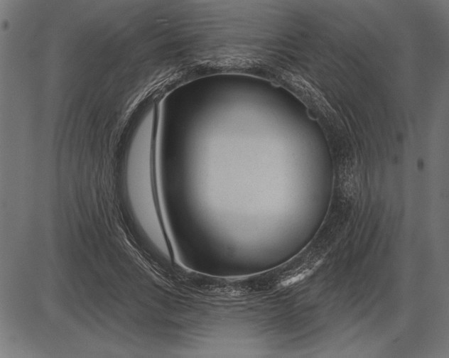 X0000086100735200704091352
