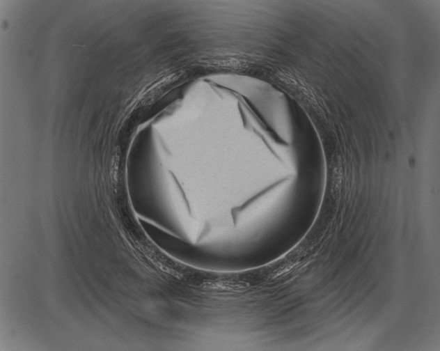 X0000086100739200704091352