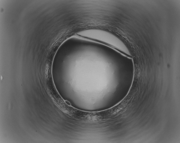 X0000086100742200704091352