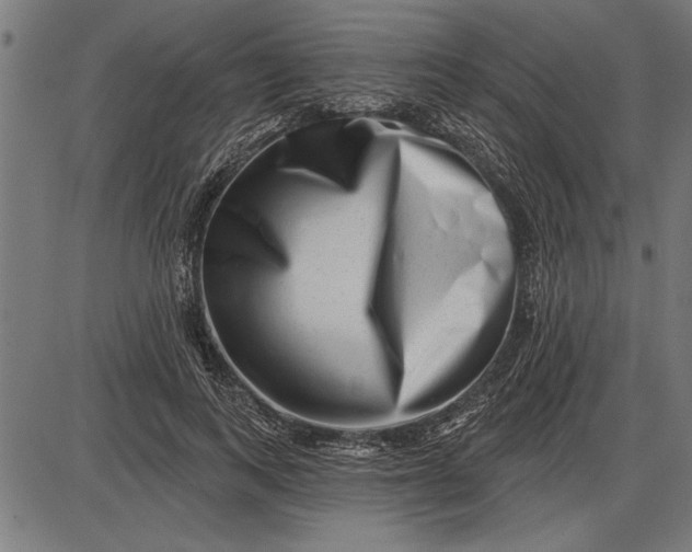 X0000086100743200704091352