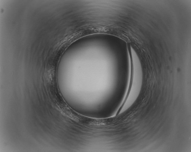 X0000086100747200704091352